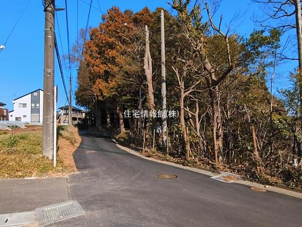 現地写真です。