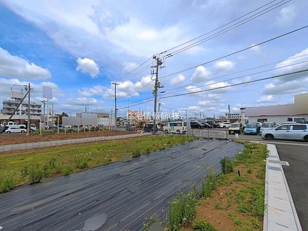 現地写真です。
