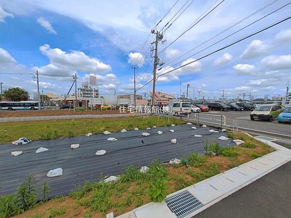 現地写真です。