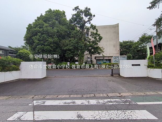 佐倉市立佐倉小学校まで約240m(徒歩3分)
