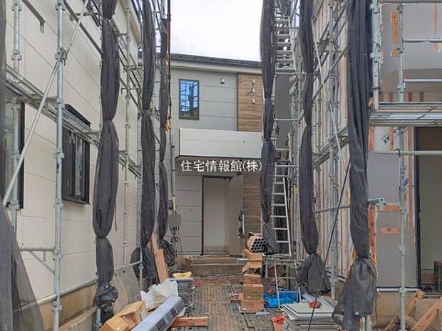 現地写真です。