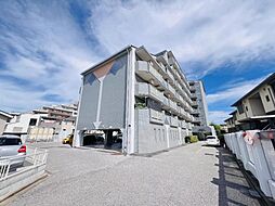 セントエルモ南柏