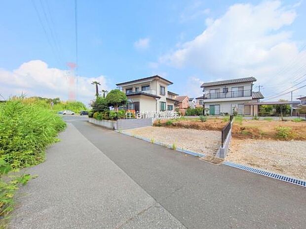 現地写真です。