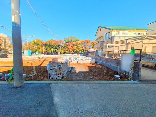 現地写真です。