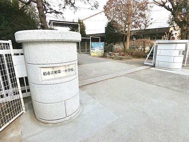 柏市立柏第一小学校まで約720m(徒歩9分)