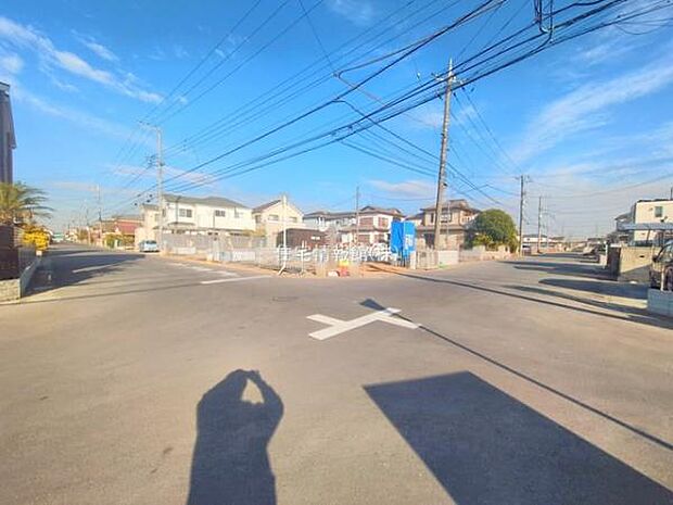 現地写真です。