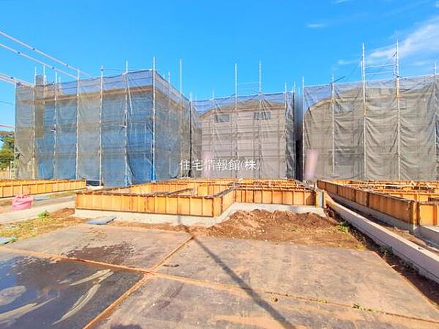 現地写真です。