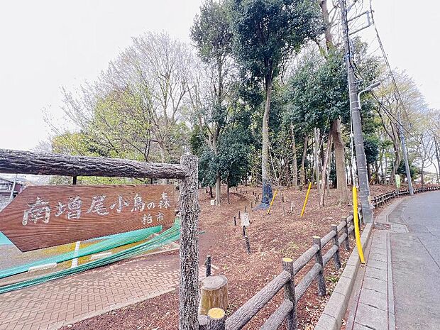 南増尾小鳥の森まで約280m(徒歩4分)