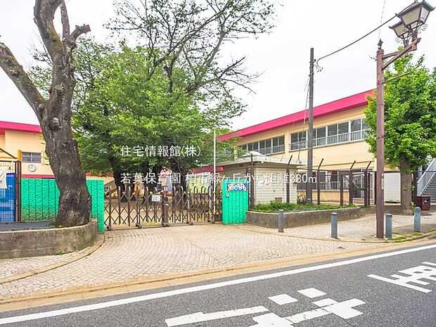 若葉保育園まで約380m（徒歩5分）