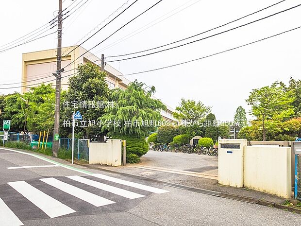柏市立旭小学校まで約350m(徒歩5分)
