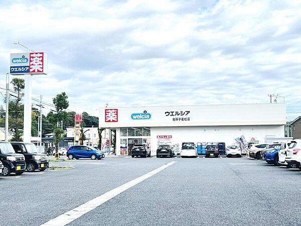 ウエルシア我孫子若松店まで約2050m（徒歩26分）