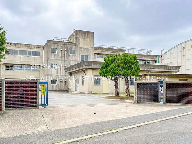 松戸市立貝の花小学校まで約120m（徒歩2分）