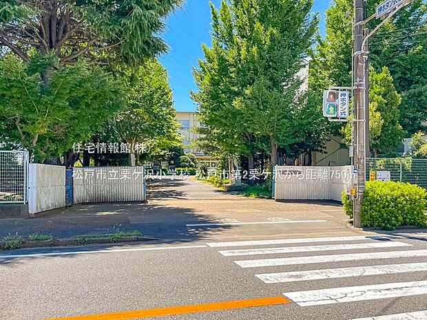 松戸市立栗ケ沢小学校まで約750m(徒歩10分)