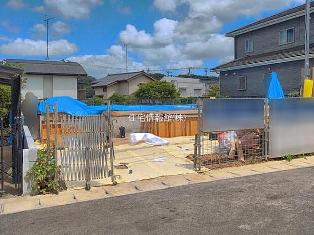 現地写真です。