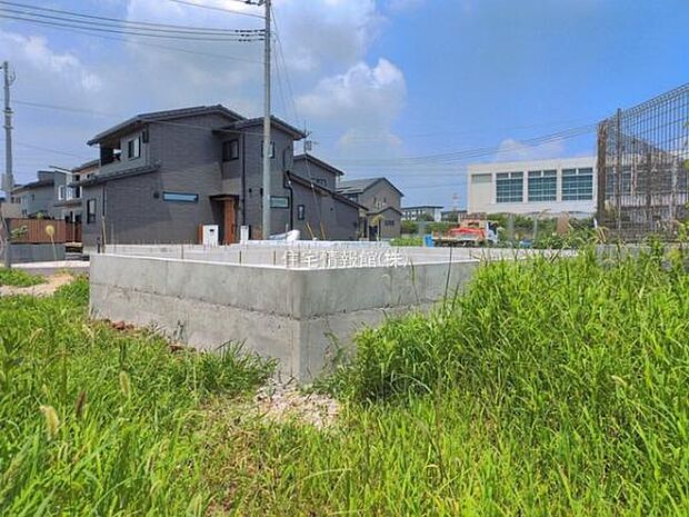 現地写真です。