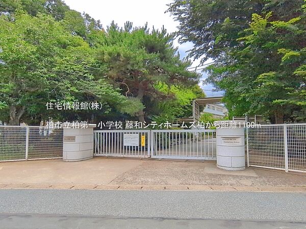 柏市立柏第一小学校まで約1100m（徒歩14分）