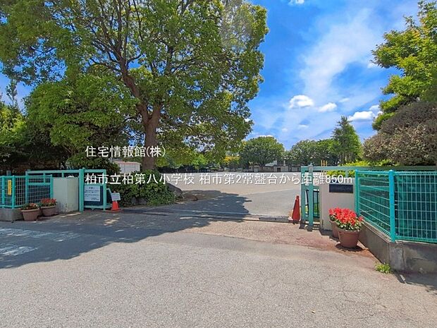 柏市立柏第八小学校まで約850m(徒歩11分)