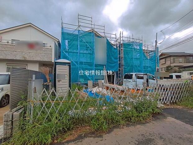 現地写真です。