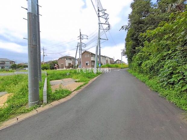 現地写真です。