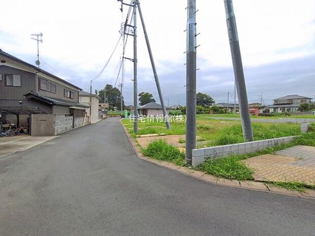 現地写真です。