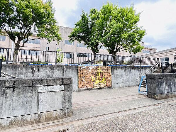 柏市立松葉第一小学校まで約906m（徒歩12分）