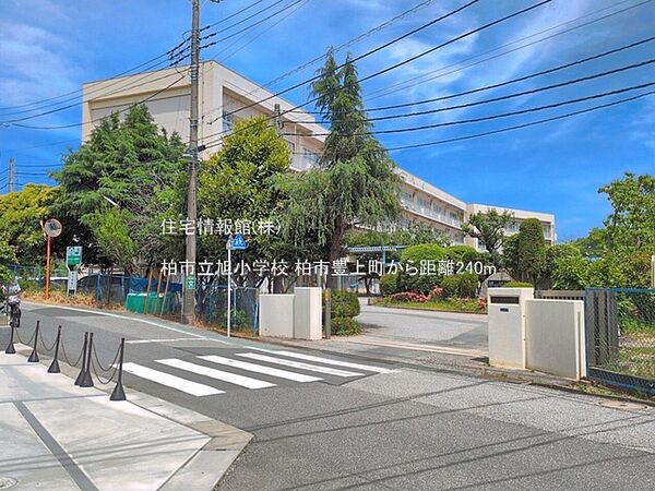 柏市立旭小学校まで約240m（徒歩3分）