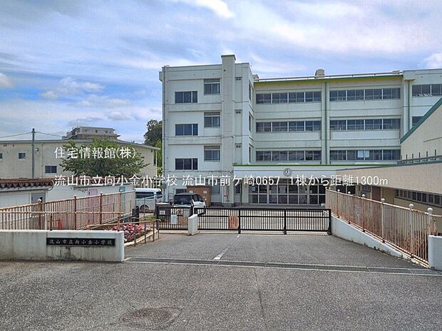 流山市立向小金小学校まで約1300m(徒歩17分)