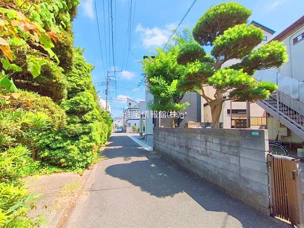 現地写真です。