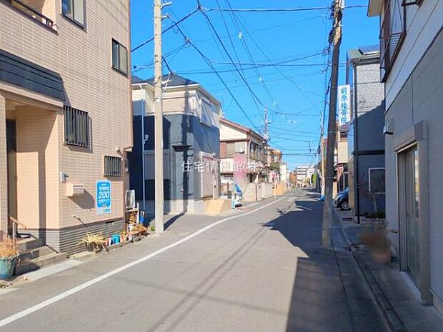 現地写真です。