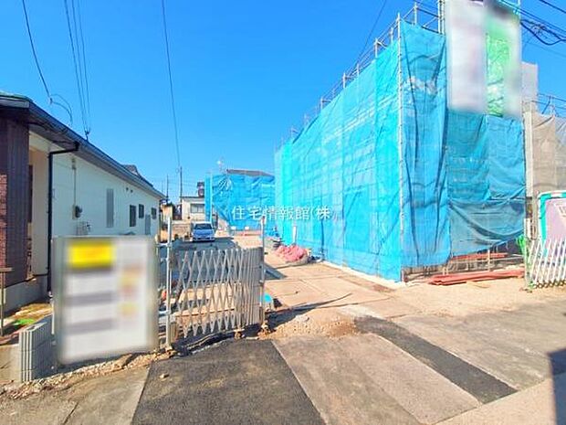 現地写真です。