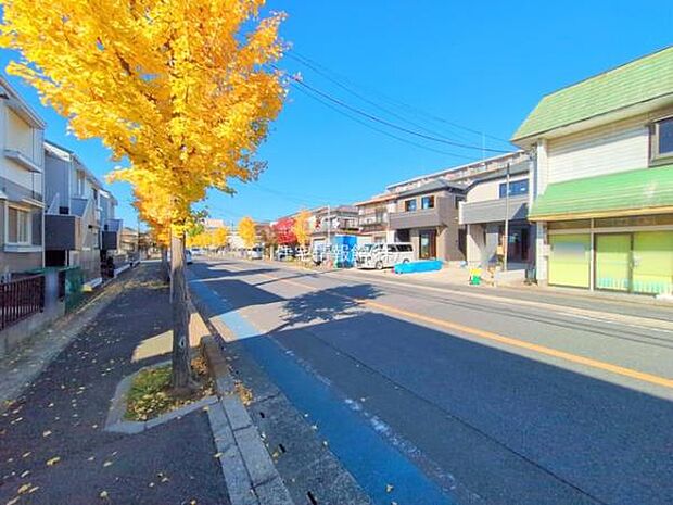 現地写真です。