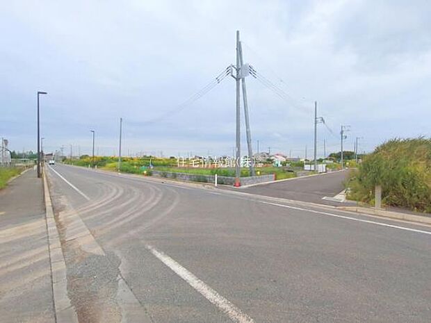 現地写真です。