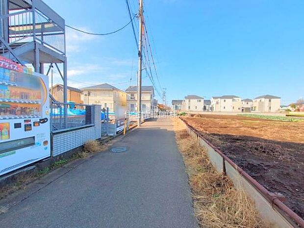 現地写真です。