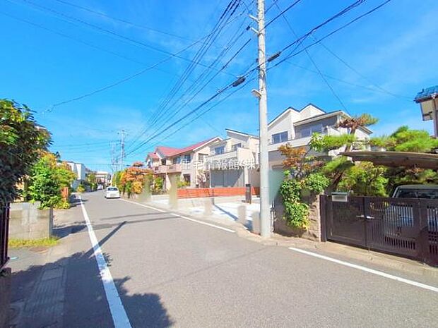 現地写真です。