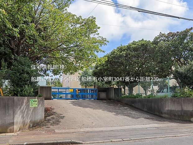 船橋市立小室小学校まで約230m(徒歩3分)