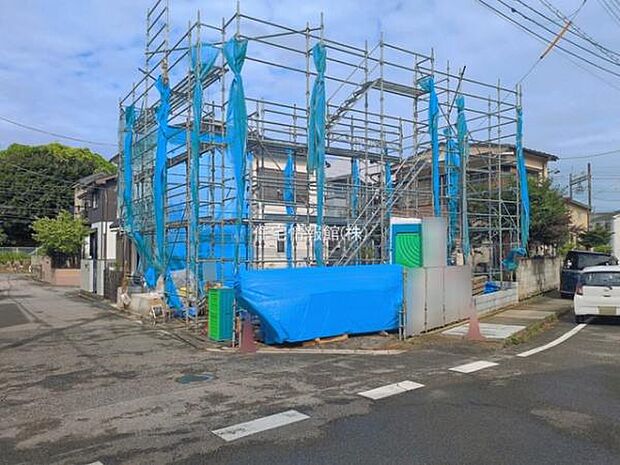 現地写真です。