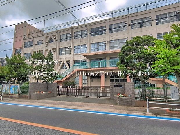 市川市立大野小学校まで約240m(徒歩3分)