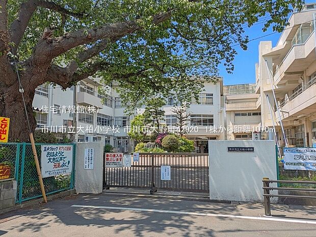 市川市立大柏小学校まで約1070m(徒歩14分)