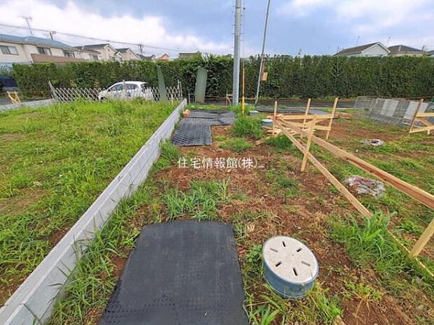 現地写真です。
