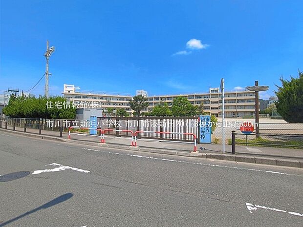 市川市立新浜小学校まで約500m（徒歩7分）