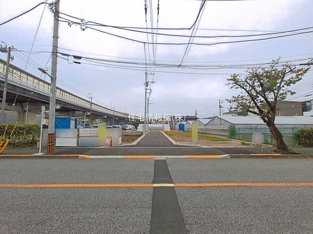 現地写真です。