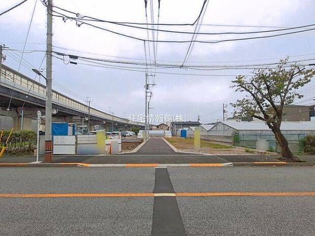 現地写真です。