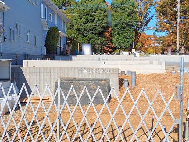 現地写真です。