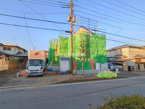 現地写真です。