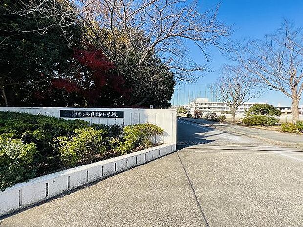 袖ケ浦市立 奈良輪小学校まで約800m（徒歩10分）