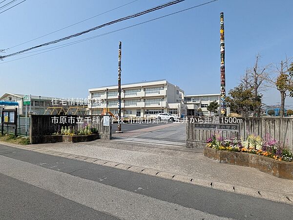 市原市立千種小学校まで約1500m（徒歩19分）