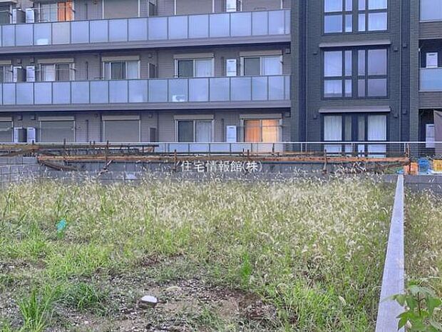 現地写真です。
