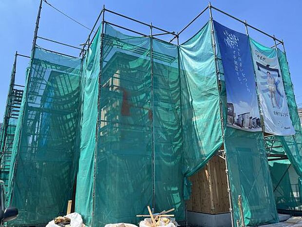 現地写真です。