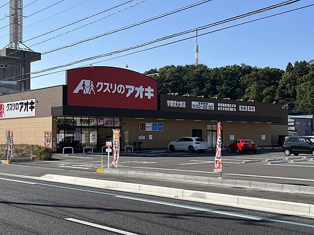 クスリのアオキ 宇都宮大曽店まで約920m(徒歩12分)