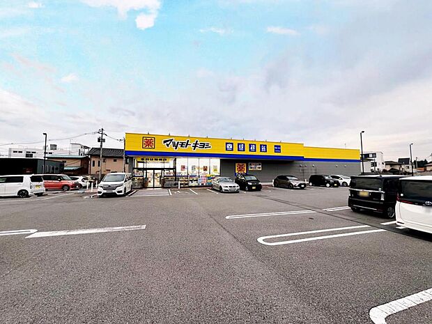 ドラッグストア マツモトキヨシ 宇都宮一の沢店まで約690m（徒歩9分）